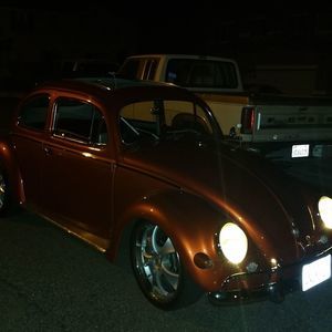 Meet your Posher, William